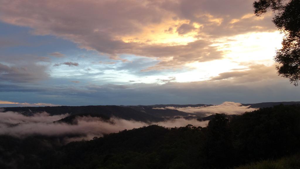 Maleny Luxury Cottages Rum bild