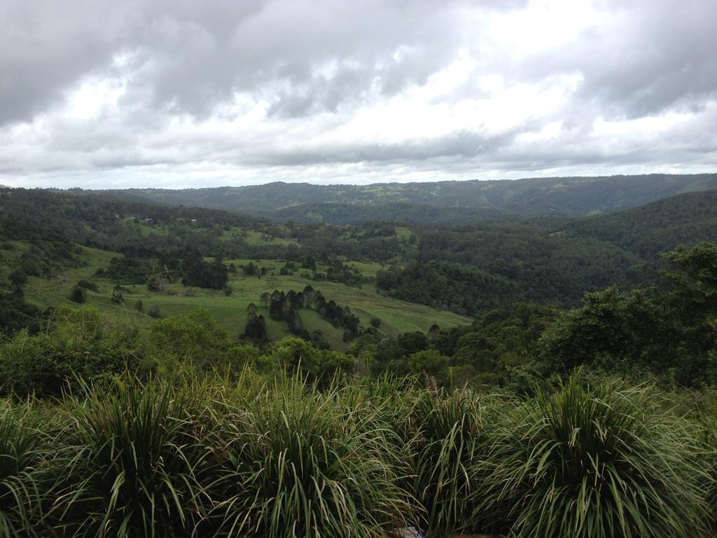 Maleny Luxury Cottages Rum bild