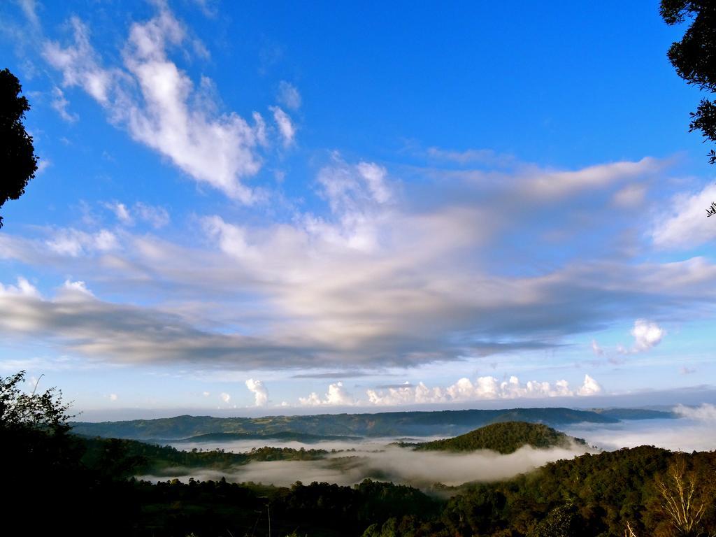 Maleny Luxury Cottages Rum bild