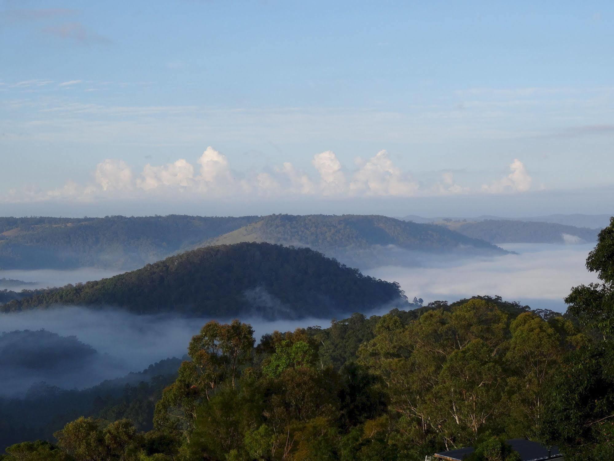 Maleny Luxury Cottages Exteriör bild