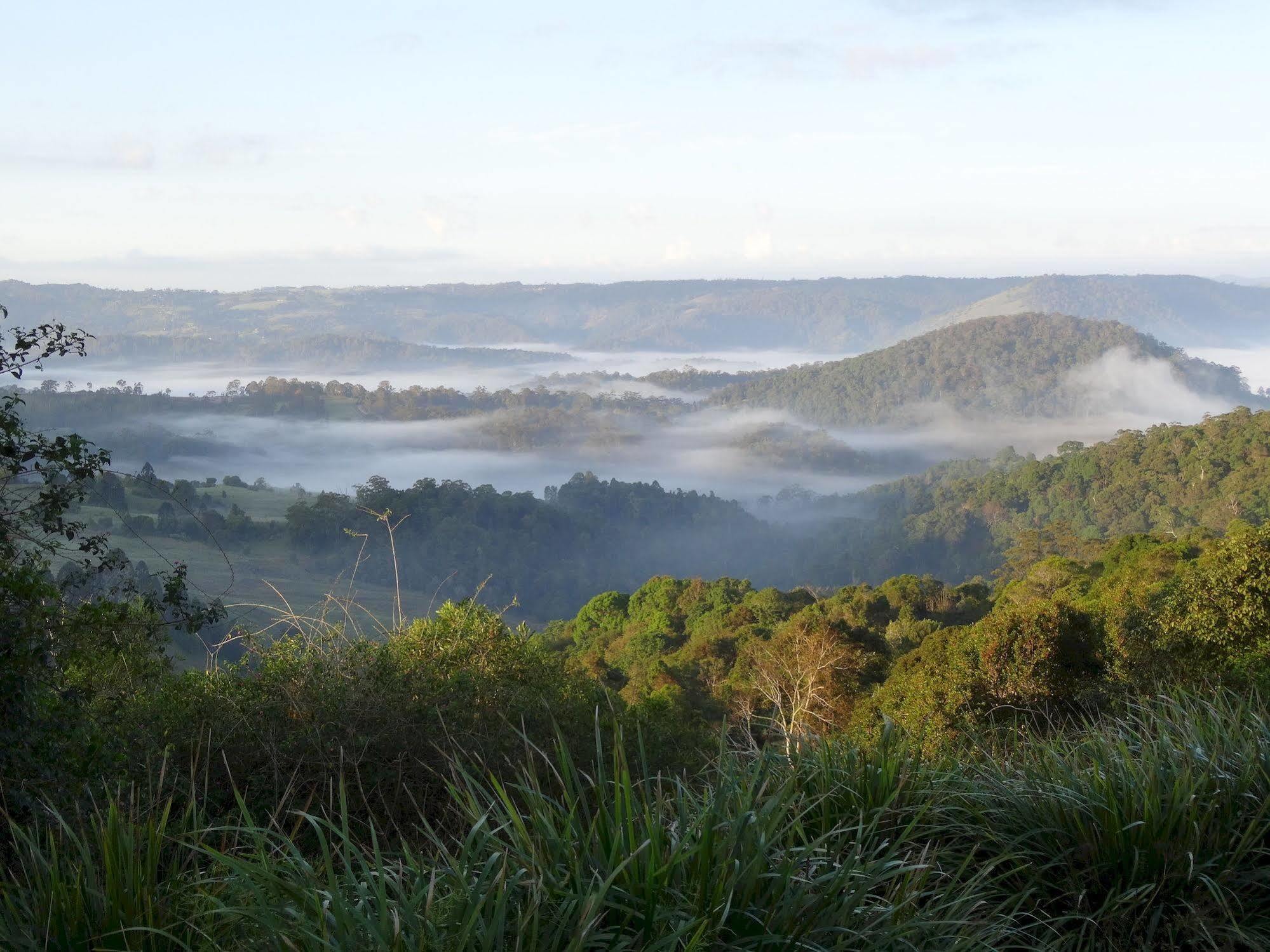 Maleny Luxury Cottages Exteriör bild