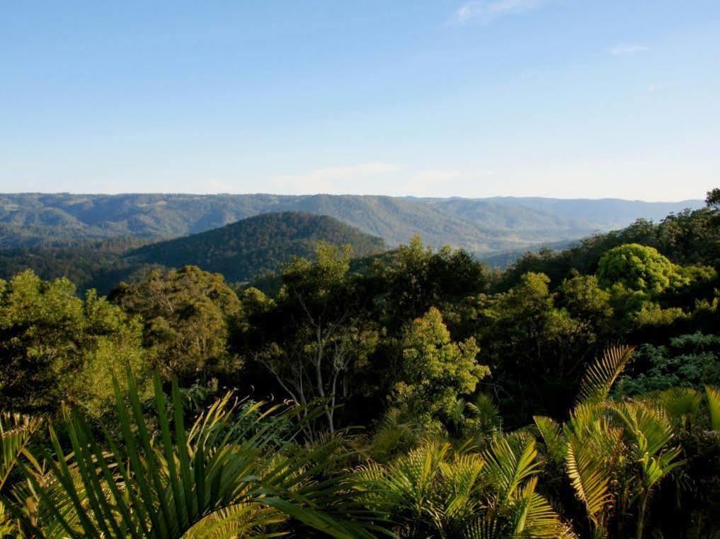 Maleny Luxury Cottages Exteriör bild