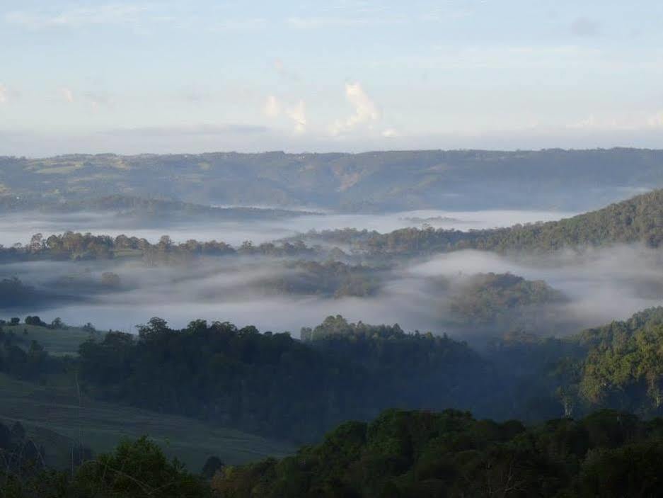 Maleny Luxury Cottages Exteriör bild
